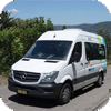 Mini & midi buses